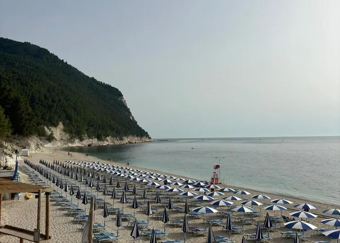 I Principi Del Conero 2